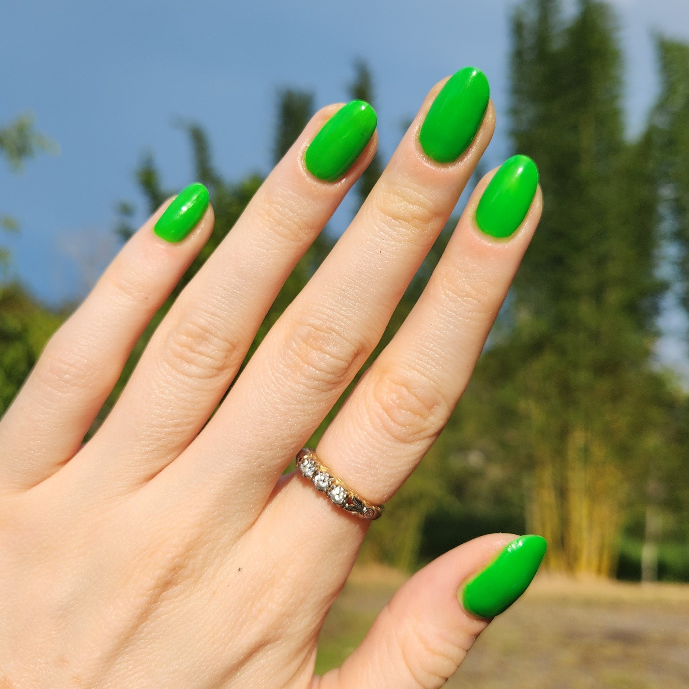 Lime - Matte Neon Nail Powder