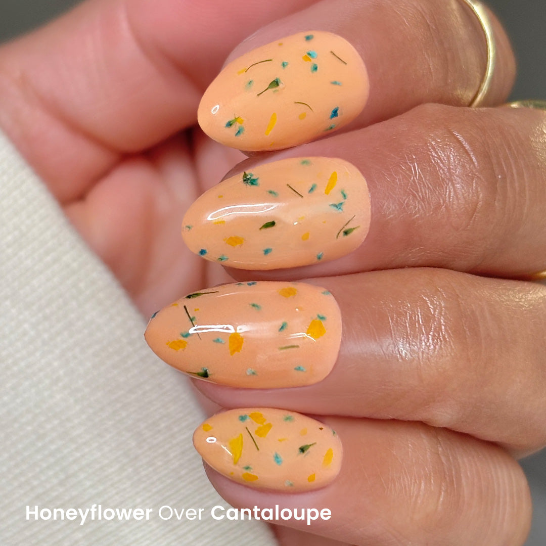 Honeyflower - Finishing Touch