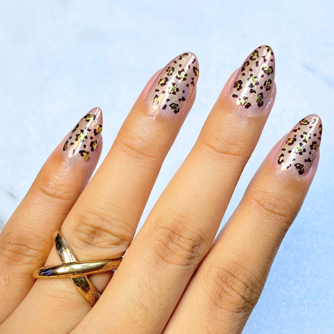 Leopard