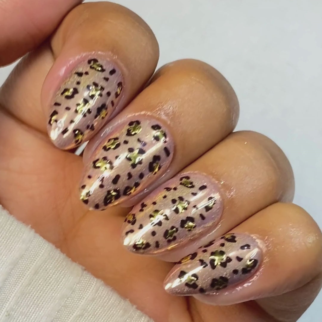 Leopard