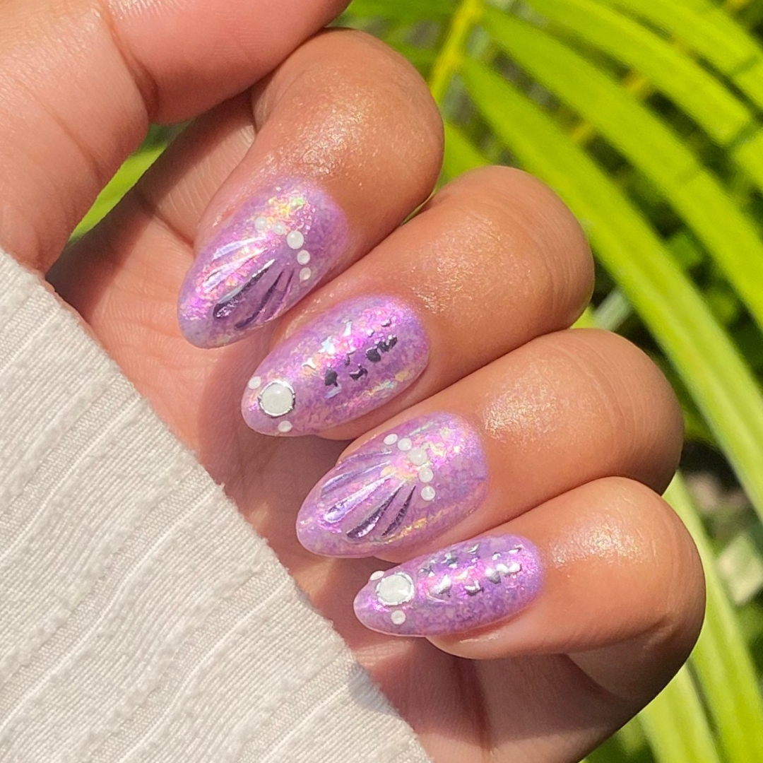 Seashells
